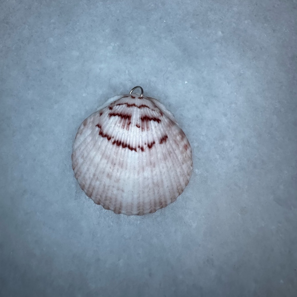 Natural Seashell Pendant